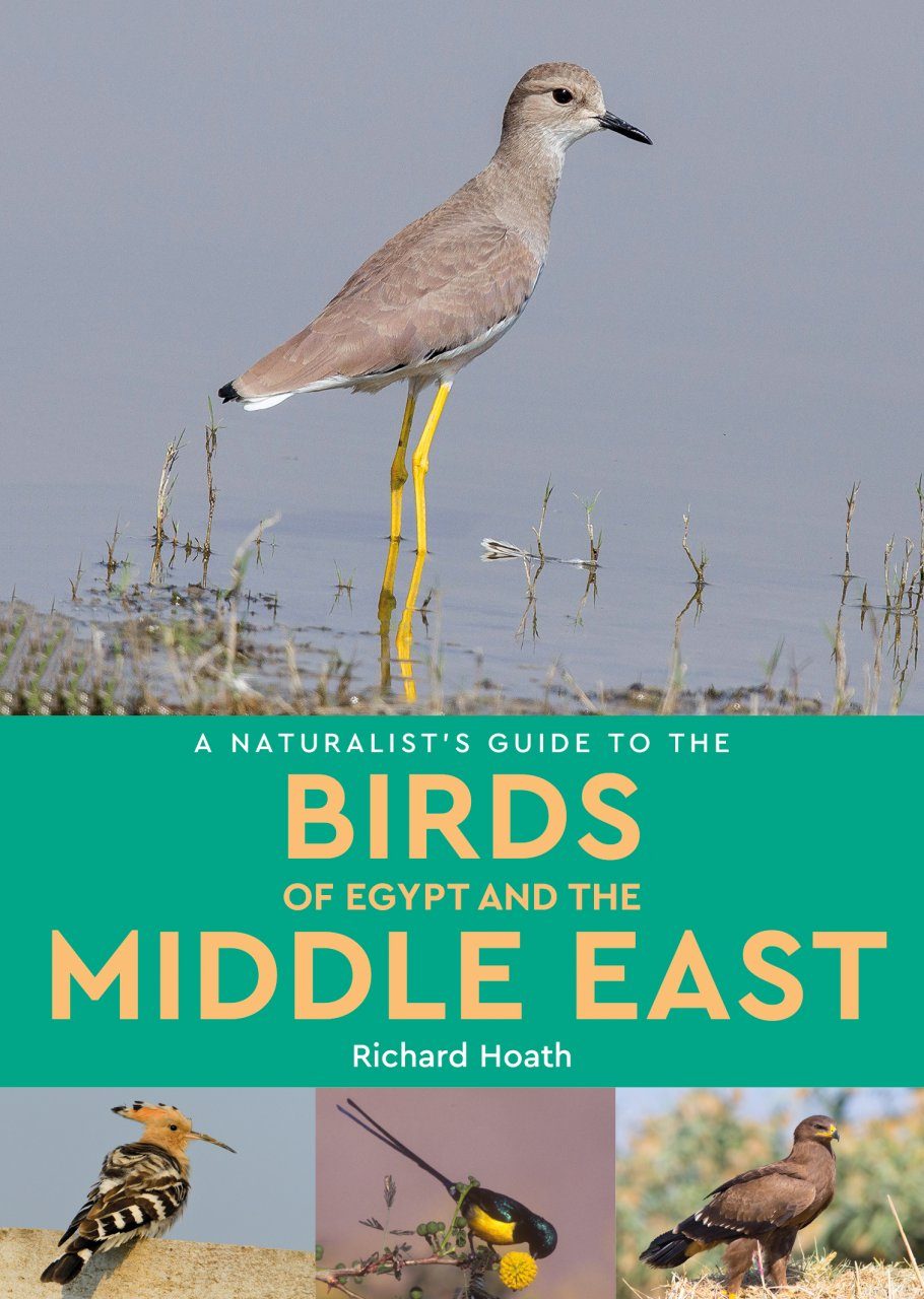 A Naturalist&#039;s Guide to the Birds of the Middle East