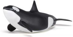 Figurina - Killer Whale Calf
