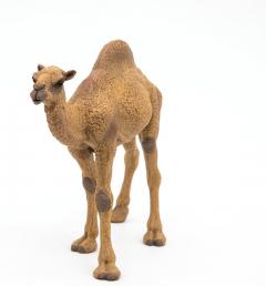 Figurina - Wild Animal Kingdom - Dromedary