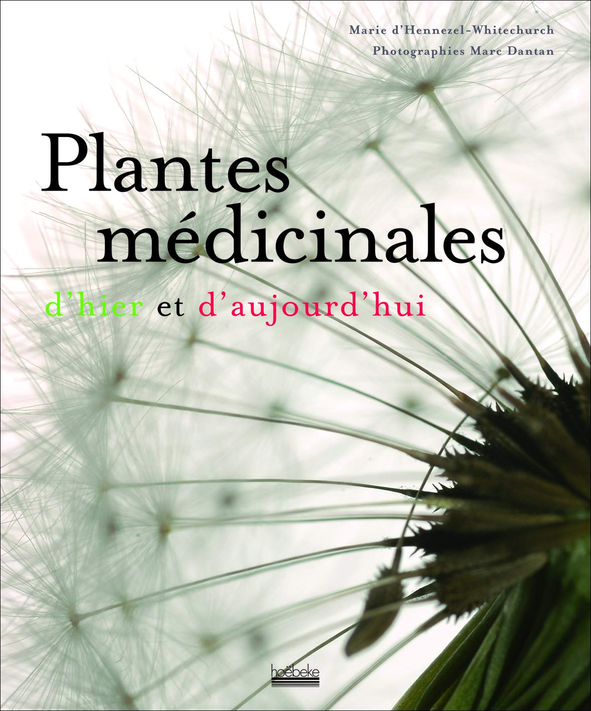 Plantes medicinales