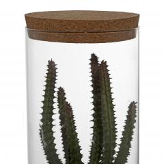 Planta suculenta artificiala in terrrarium - Modele diferite - Tip 2