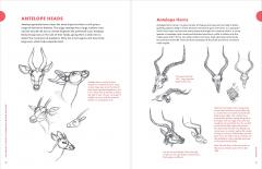 Artist's Guide to Drawing World Wildlife