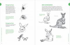 Artist's Guide to Drawing World Wildlife