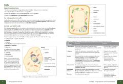 Human and Social Biology