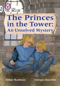 Justice for the Princes in the Tower