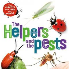 THE INSECTS THAT RUN OUR WORLD THE HEL