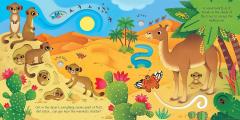 Wild Animals Sound Book