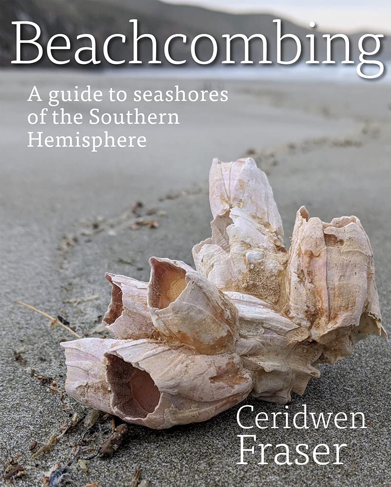 Beachcombing