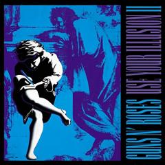 Use Your Illusion - Vinyl