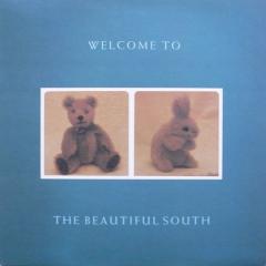 Welcome To The Beautiful South - Vinyl