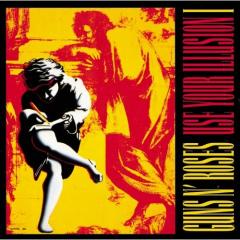 Use Your Illusion - Vinyl