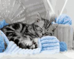 Set pictura pe numere - Pisica somnoroasa, 40x50 cm