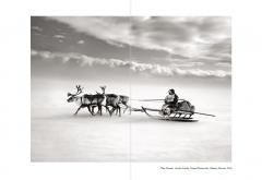 From My Land to the Planet