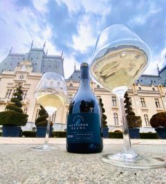 Vin alb - Strunga - Sauvignon Blanc, sec, 2020