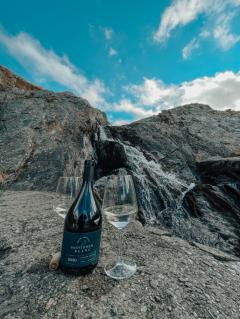 Vin alb - Strunga - Sauvignon Blanc, sec, 2020