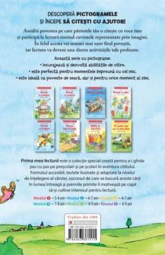 Povesti cu printese. Carte cu pictograme