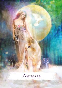 Spellcasting Oracle Cards