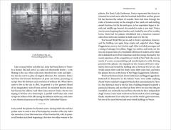 The Unfinished Palazzo