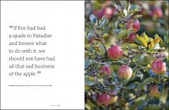 Garden for the Senses