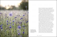 Garden for the Senses