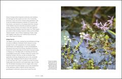 Garden for the Senses