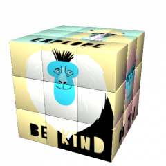 Cub Rubik - Design - Fun: Primates