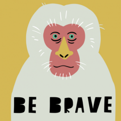 Cub Rubik - Design - Fun: Primates