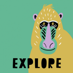 Cub Rubik - Design - Fun: Primates