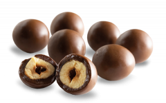 Alune de padure invelite in ciocolata, 40 g - BIO + RO-ECO-007