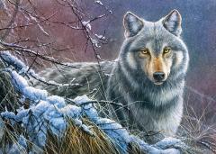 Puzzle 1000 piese - Grey Wolf