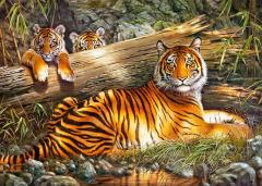 Puzzle 1000 piese - Quiet Fire