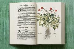 Leonhart Fuchs. The New Herbal