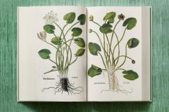 Leonhart Fuchs. The New Herbal