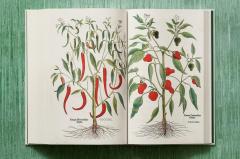 Leonhart Fuchs. The New Herbal