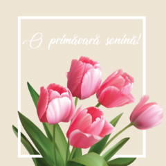Felicitare Martisor - Lalele roz
