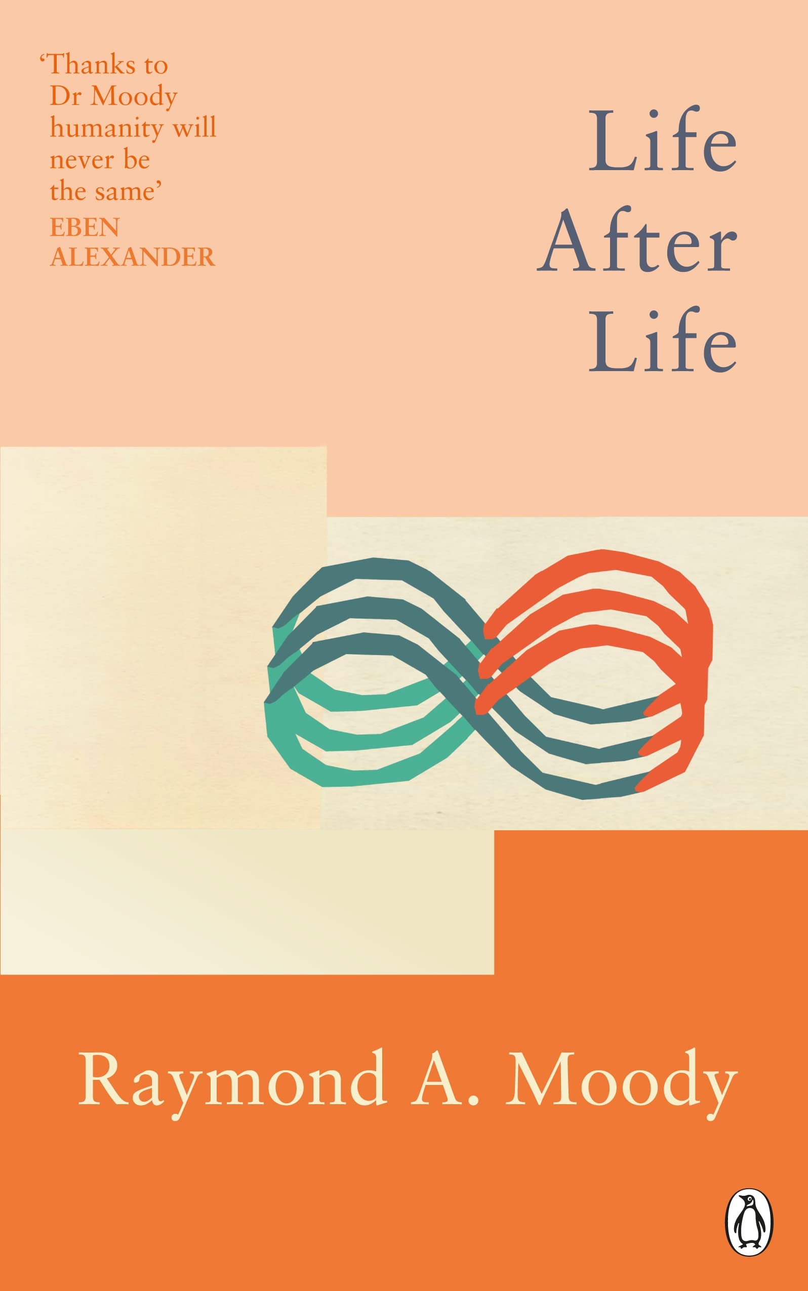 Coperta cărții: Life after Life - lonnieyoungblood.com