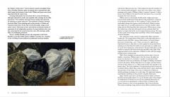 Frans Hals. The Male Portrait