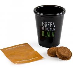 Kit pentru plantat cu seminte de floare de colt - Green is the New Black