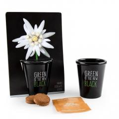 Kit pentru plantat cu seminte de floare de colt - Green is the New Black