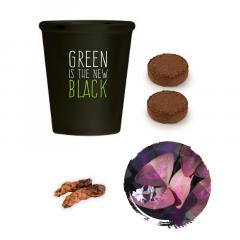 Kit pentru plantat cu seminte de trifoi mov - Green is the New Black 