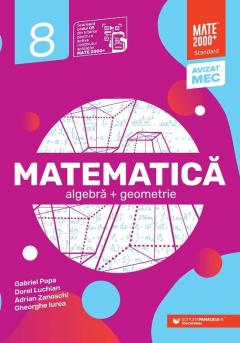 Matematica. Algebra, geometrie. Clasa a VIII-a. Standard