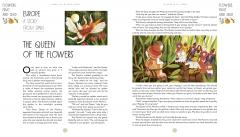  A World Full of Nature Stories