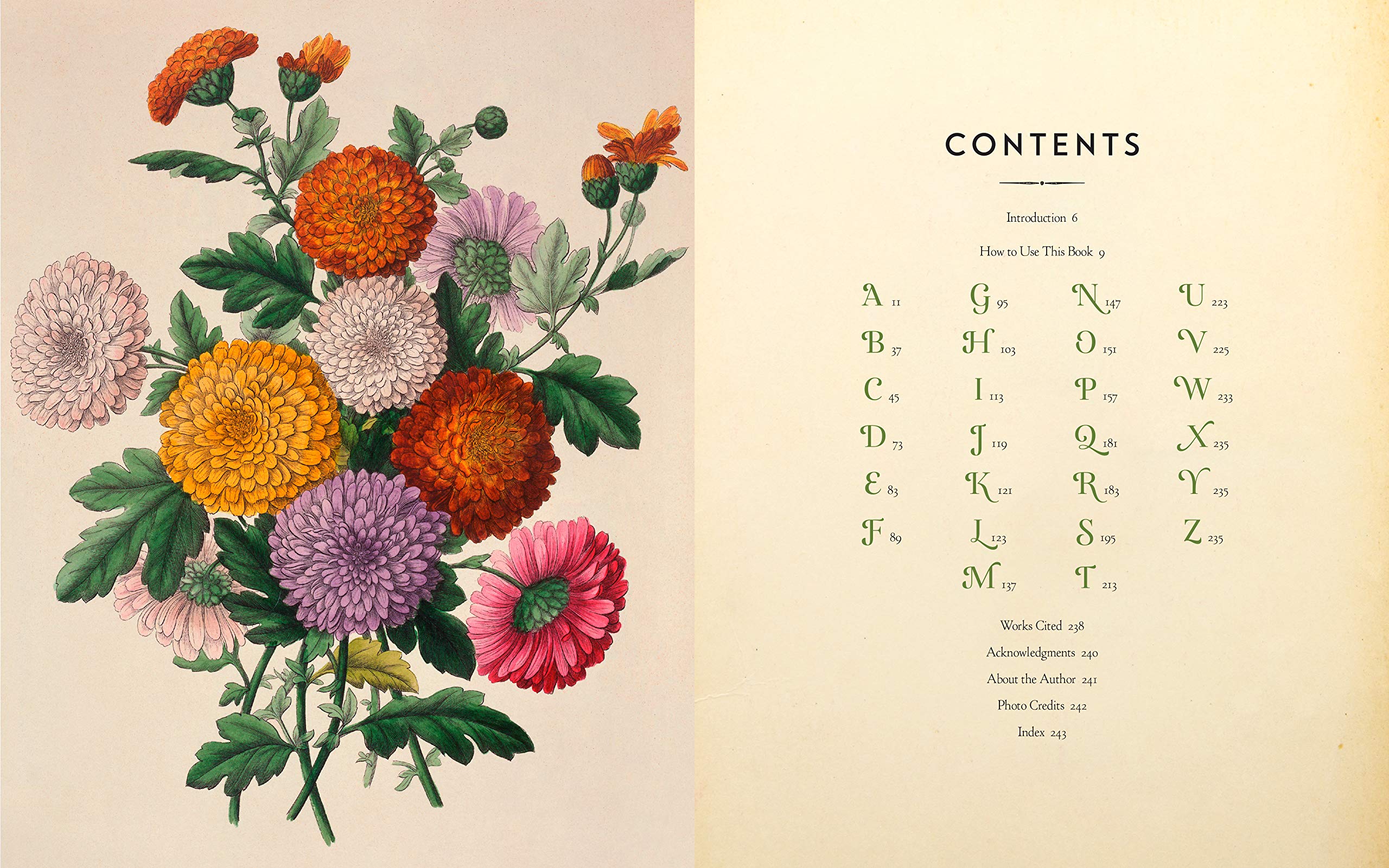 The Complete Language of Flowers S. Theresa Dietz