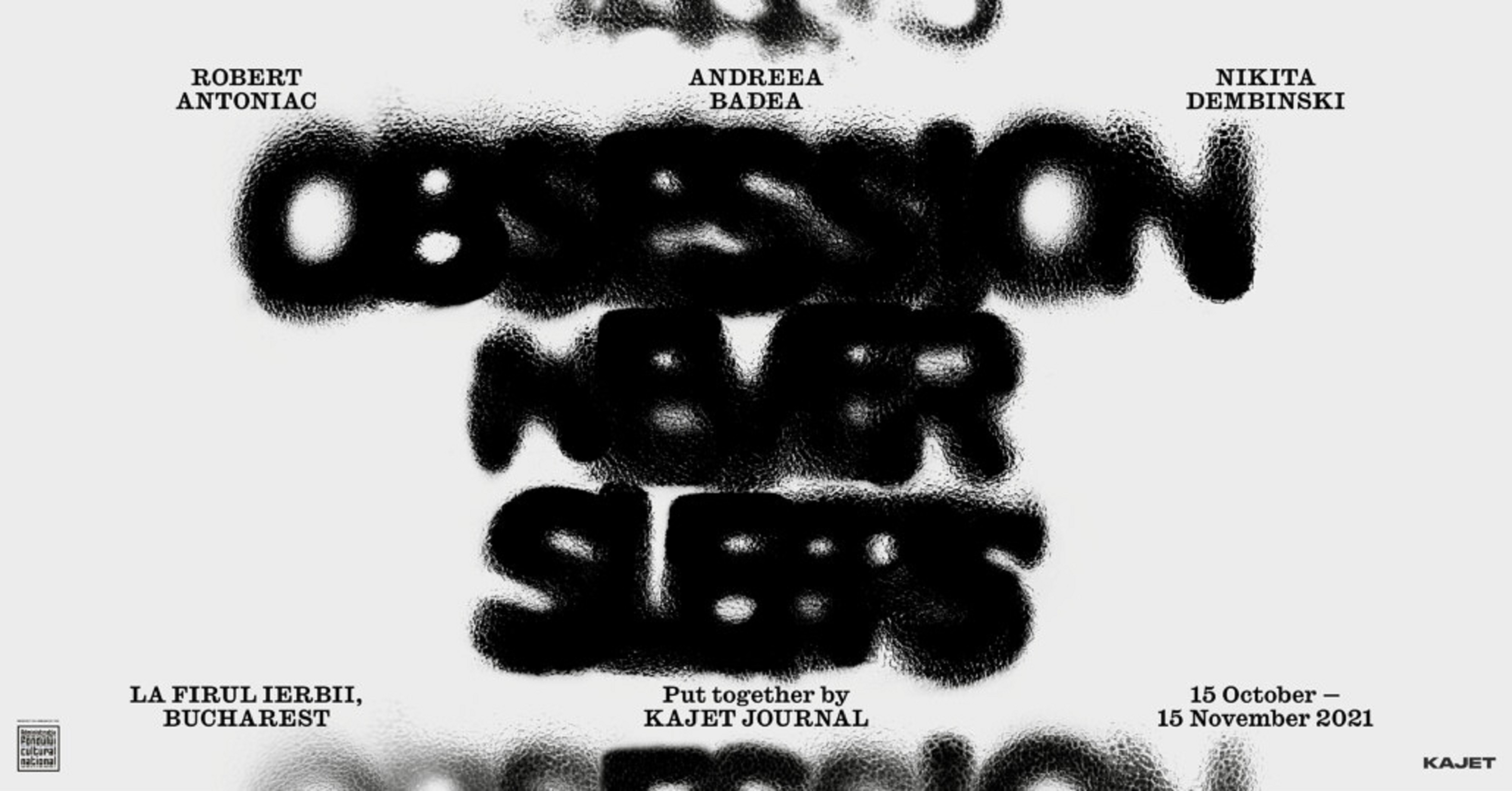 Coperta cărții: Obsession Never Sleeps - lonnieyoungblood.com