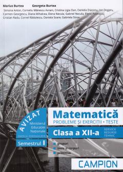 Matematica. Probleme si exercitii. Teste. Clasa a XII-a. Semestrul I