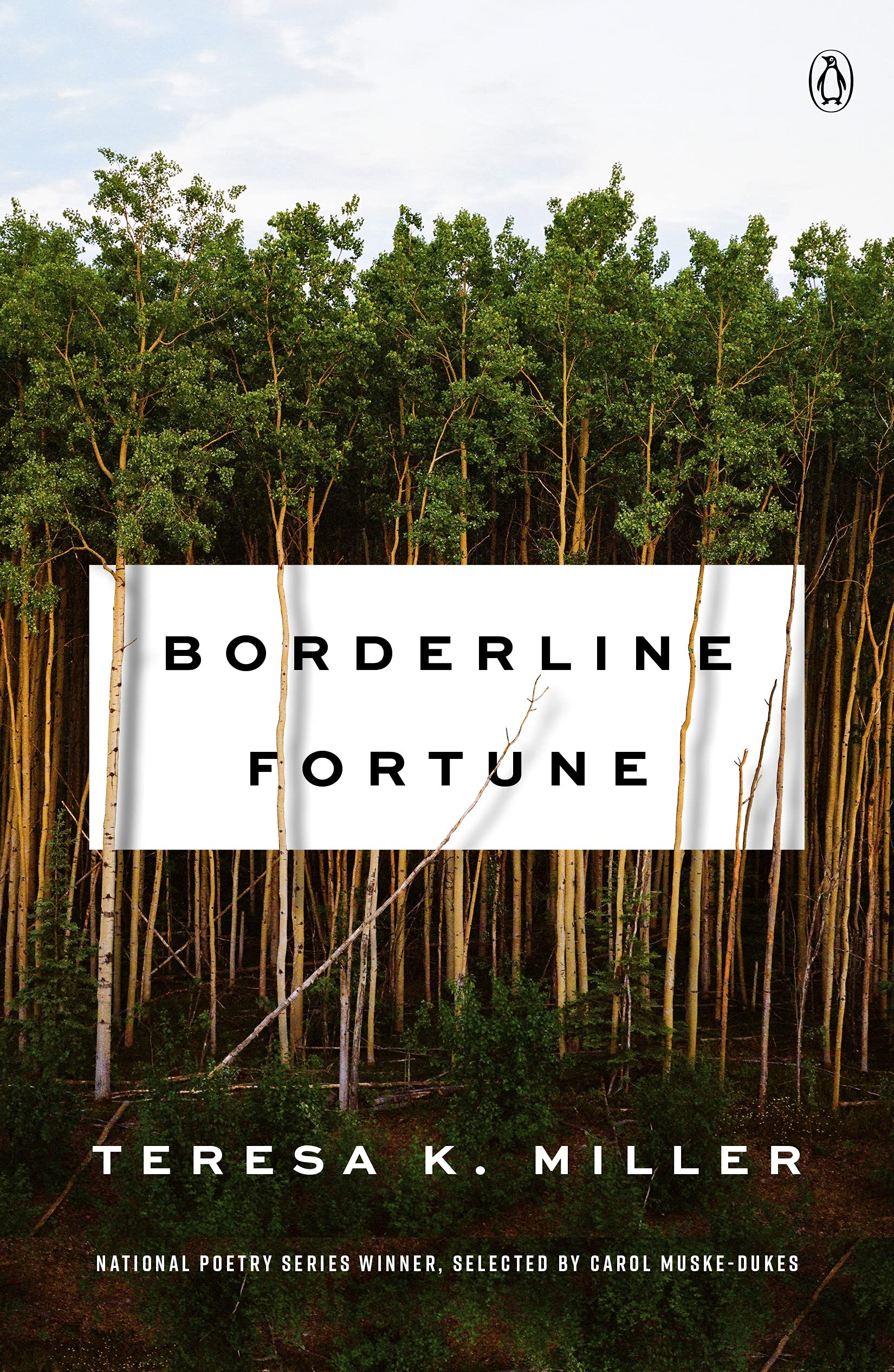 Borderline Fortune