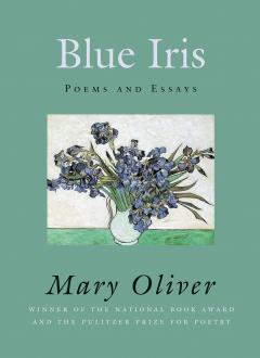 Blue Iris