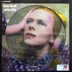 Hunky Dory (Picture Vinyl)