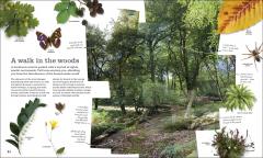 Chris Packham's Nature Handbook