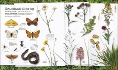 Chris Packham's Nature Handbook